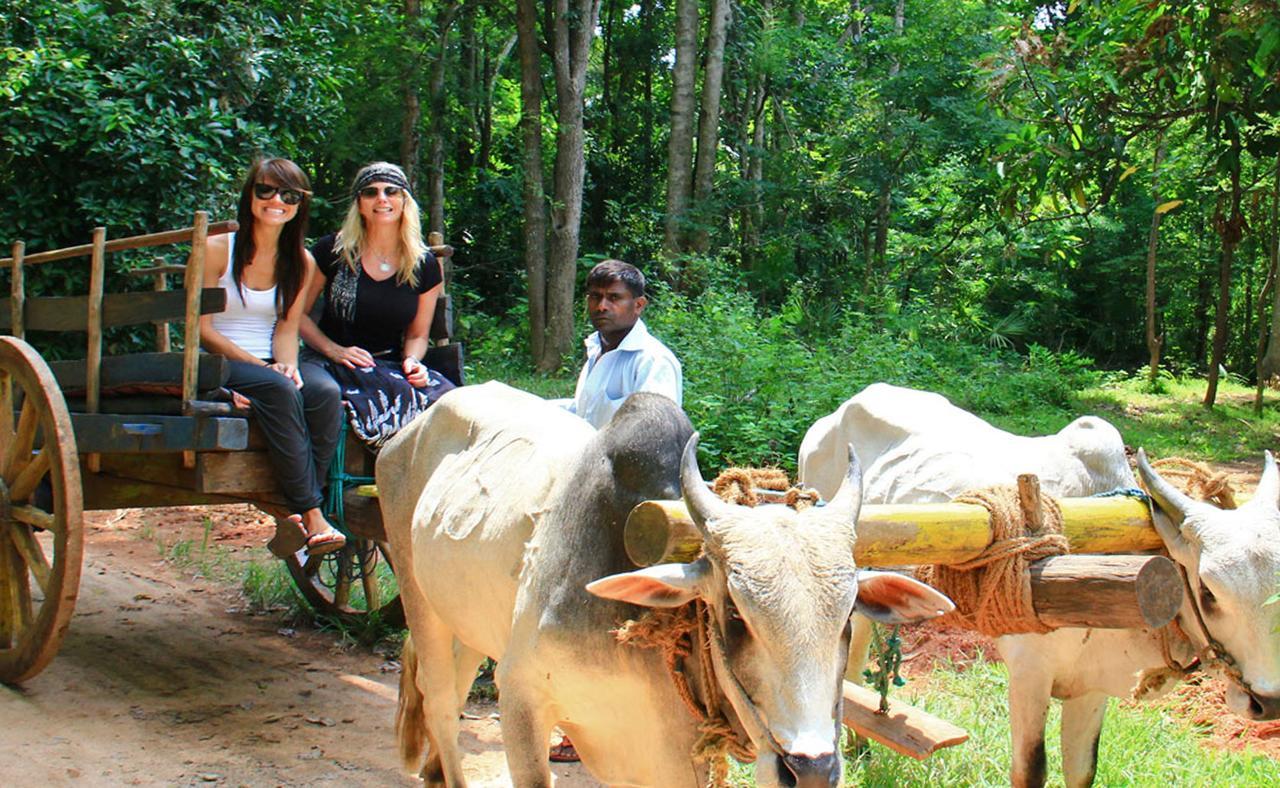 Sigiriya Sun Shine Villa 외부 사진